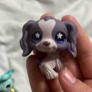 RESERVED LPS set of 6